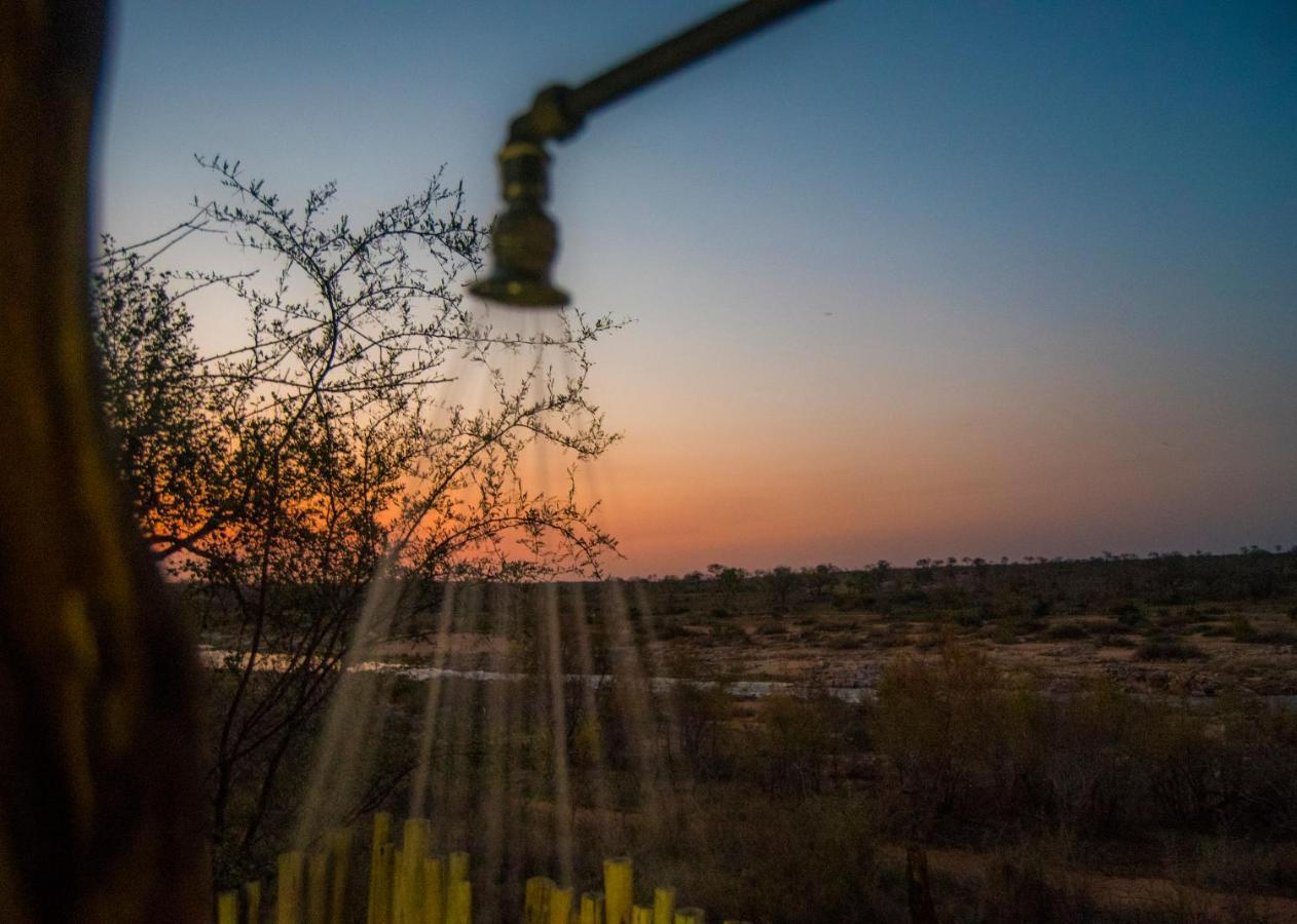 Manzini River House - Mjejane Private Game Reserve, Greater Kruger National Park هكتورسبروت المظهر الخارجي الصورة