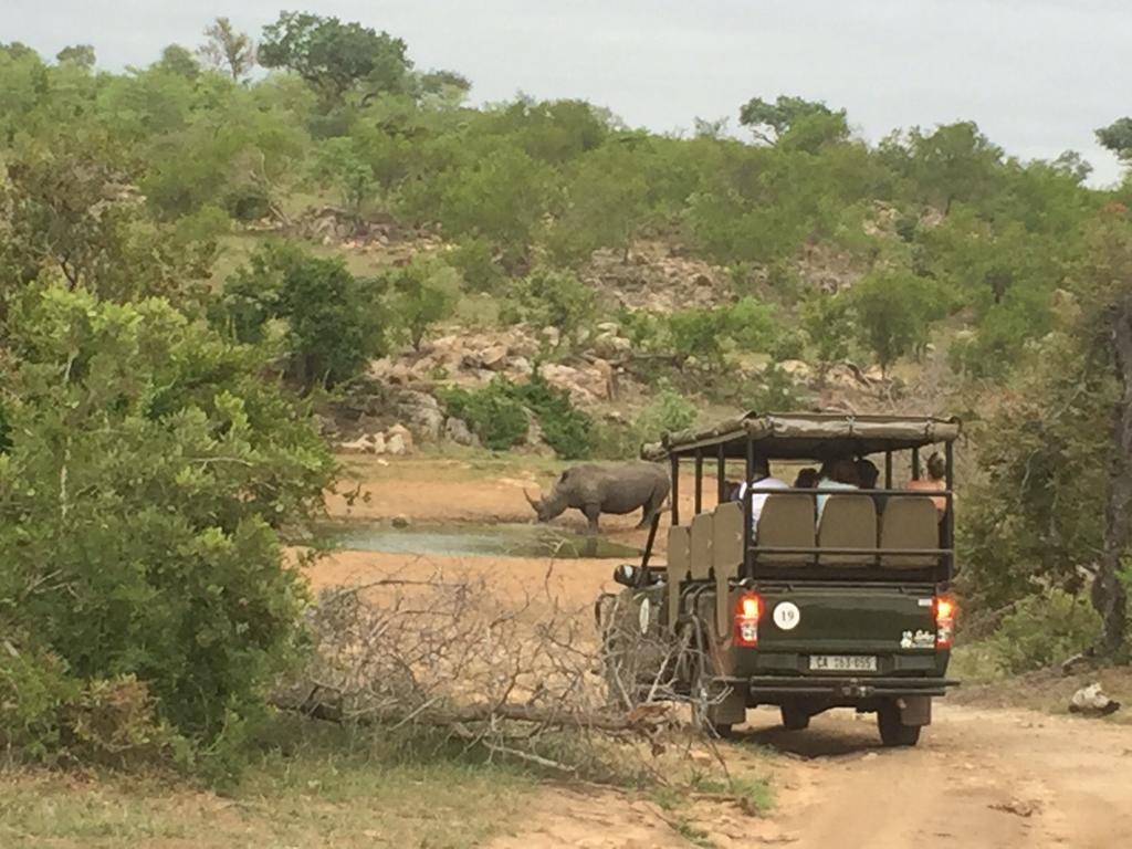 Manzini River House - Mjejane Private Game Reserve, Greater Kruger National Park هكتورسبروت المظهر الخارجي الصورة