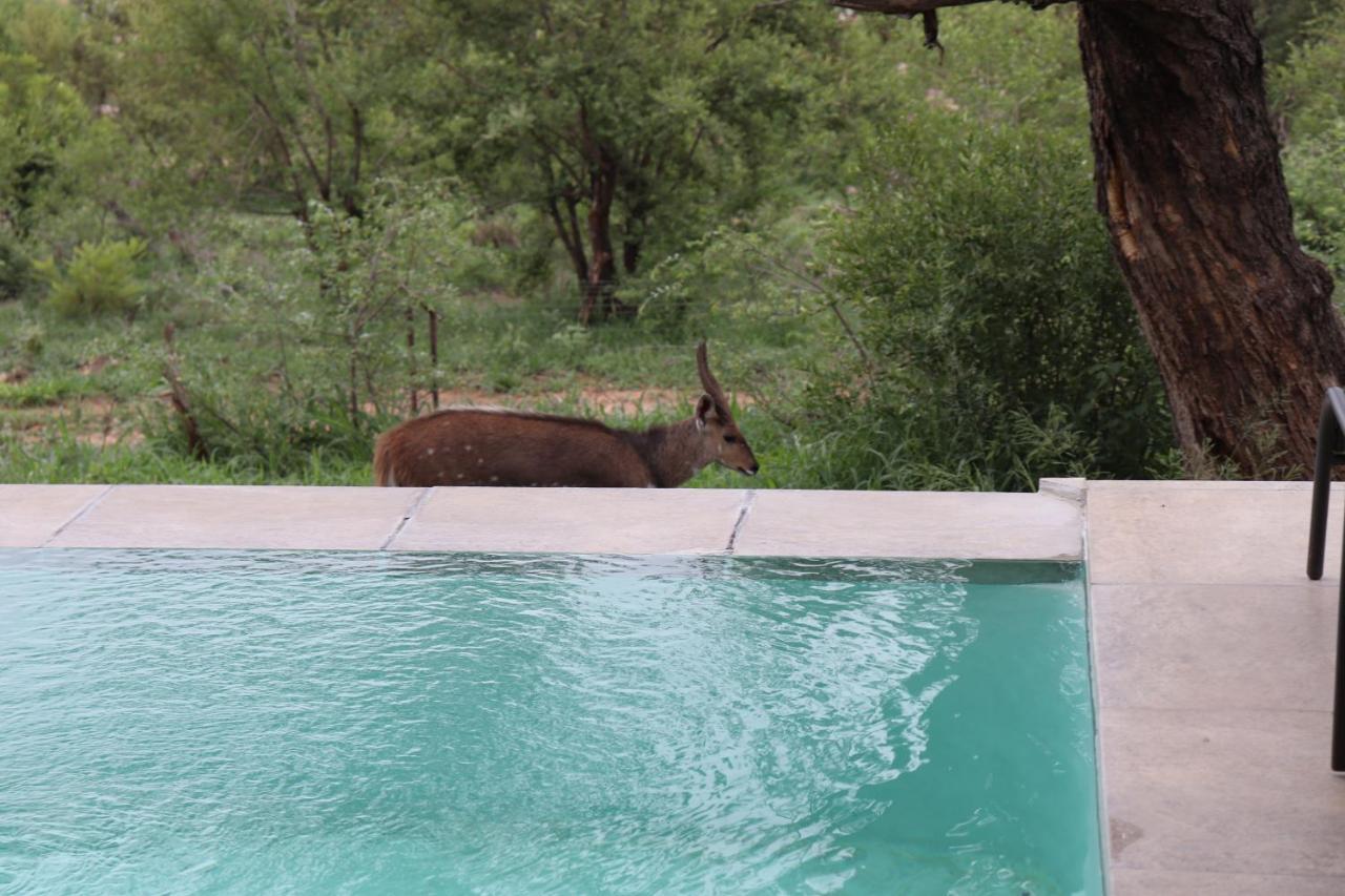 Manzini River House - Mjejane Private Game Reserve, Greater Kruger National Park هكتورسبروت المظهر الخارجي الصورة